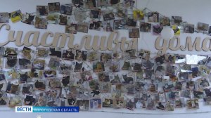 Путь домой: вологжане помогают брошенным животным обрести любящих хозяев