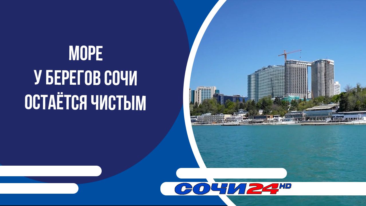 Море у берегов Сочи остаётся чистым