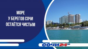 Море у берегов Сочи остаётся чистым
