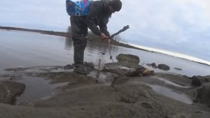 СНЯЛ СЕТКУ! ВРОДЕ МОРОЗ,РЫБАЛКА НА СЕВЕРЕ!