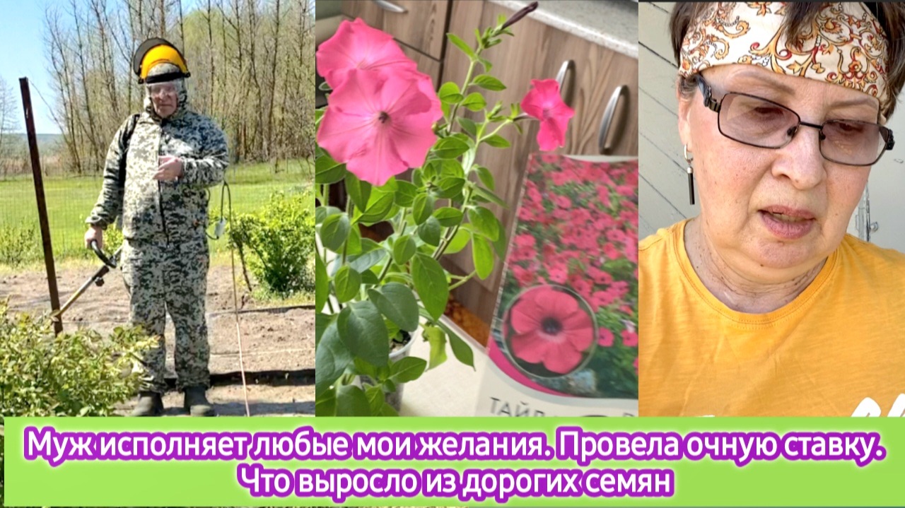 Муж исполняет любые мои желания. Провела очную ставку. Что выросло из дорогих семян