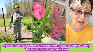 Муж исполняет любые мои желания. Провела очную ставку. Что выросло из дорогих семян