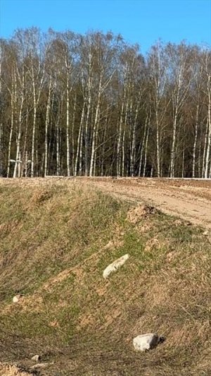 Провели Выходной с ГОНЩИКОМ Д на Дмитровском Стадионе Технических Видов Спорта! Кайфанули!