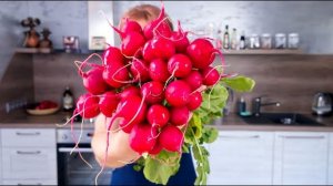 Три салата из редиски за минуты - свежо, хрустяще, полезно 🥗🔥