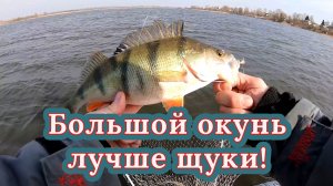 Красивый окунь лучше Щуки! Рыбалка на спиннинг на озере весной.