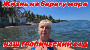 Наводим уют в саду на берегу моря и обновка для байка! 🌴🌊