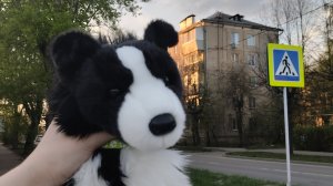 обзор на новую амуницию (влог с сегоднешней прогулки) (в ср 1 серия сериала☺) название плохие друзья