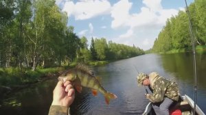 Рыбалка с лодки . Окуни атакуют. РЫБАЛКА НА РЕКЕ С ЛОДКИ.