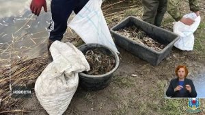 Донские полицейские спасли из браконьерских ловушек более 4 тыс. раков