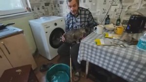 Мансур Сакпанов- ТЯЖЕЛЫЙ ДЕНЬ ... КУДА СПЕШИТ ВОЛОДЯ 😐 ПЛАНЫ ПРОВАЛИЛИСЬ