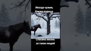 Иногда чужие, ближе родных.