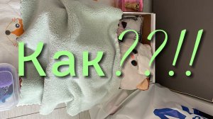 Лучшие друзья навсегда ♾️ как?! Заболел???