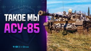 КАК E25 ТОЛЬКО В ВЕТКЕ СССР | АСУ-85 ПТ-САУ 8
