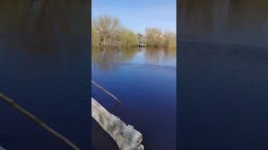 Видео от подписчиков, рыбалка река Каргат.
