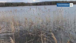 Жители Иванкова обнаружили фрагмент человеческого тела на Уводьском водохранилище