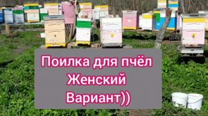 Поилка для пчёл.Женский вариант)