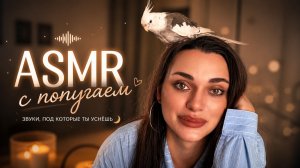 Ты уснёшь под эти звуки 😴 Попугай создал идеальный ASMR-уют дома