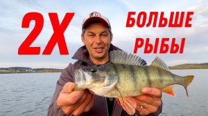 Поймаешь больше в 2 раза! Оснастка БОНУС на щуку и окуня