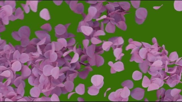ПЕРЕХОД-розовые листья_encoded