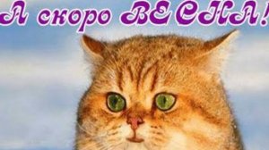 СП Вязальный переполох А скоро Весна Отчёт Апрель 2 с Еленой Велиной