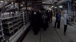 Фарфор Вербилок. Часть 2