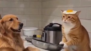 Забавные нейрокотики