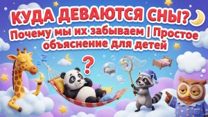 Куда деваются сны 🌙 Почему мы их забываем | Простое объяснение для детей