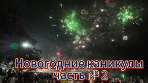 Новогодние каникулы 2 часть