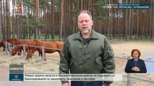 Конь казаку всего дороже