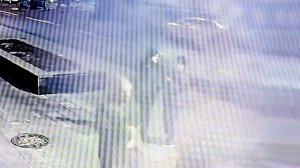 Мошенники вынудили жительницу Сочи прилететь в Москву отдать им 11 млн рублей