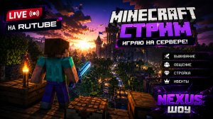 Играю на Minecraft сервере.