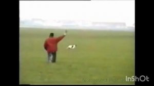 184.mp4