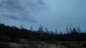 открытие охоты на вальшнепа