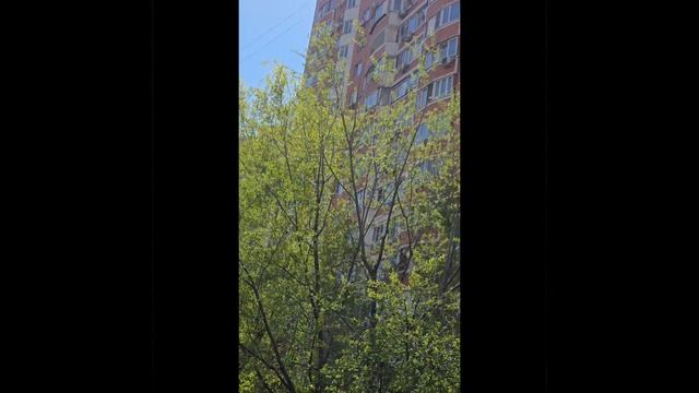 просыпаемся! смотреть онлайн