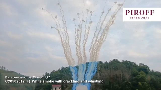 Белый дневной салют на 25 залпов Екатеринбург смотреть онлайн