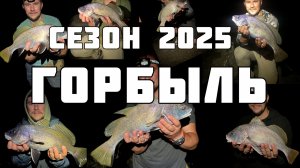 ГОРБЫЛЬ. Итоги сезона 2025
