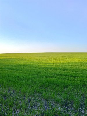 майские рассуждения