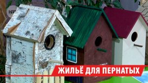 Больше 150 скворечников и синичников изготовят иркутяне для фестиваля «Домик СчастьЯ»