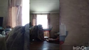 снюсаед 1серия