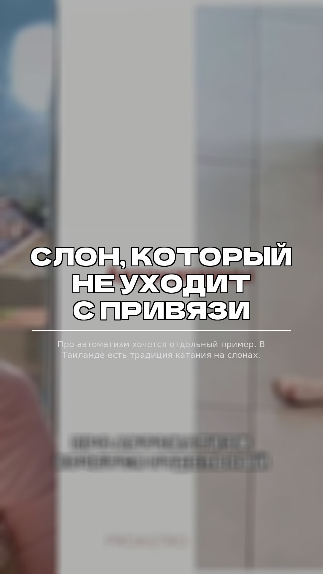 Слон, который не уходит с привязи