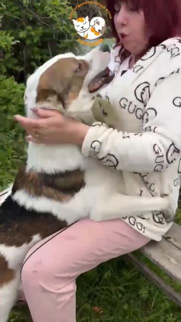 Коля ищет дом