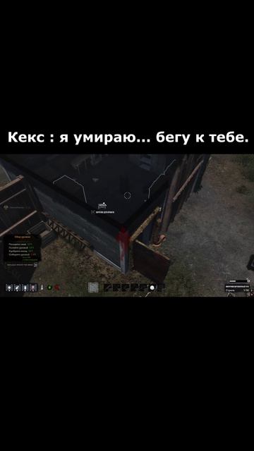 Кекс и френдли фаер Павла.
