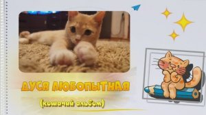 Кошачий альбом «Дуся любопытная»