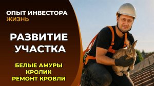 Обновления на участке, планы по развитию. Где взять ежа?