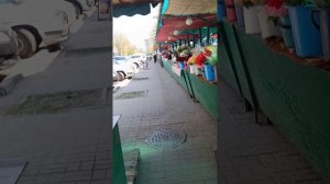За цветами на цветочный рыночек. Белгород. 06.04.26
