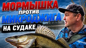 Микроджиг или Мормышка Весной ? Судак выбирает САМ ! #весеннийсудак #мормышкавесной #микроджиг