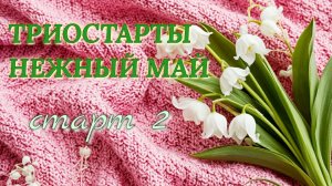 Носки мужские крючком из не носочной пряжи. Начало процесса. Старт 2 в СП Триостарты мая