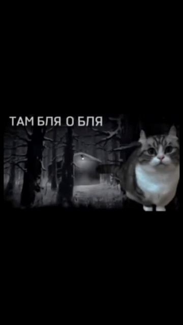 Когда пришли сменщики и ты передаешь им обстановку
