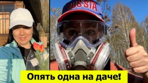 Опять одна на даче! Чищу клубнику, сею зелень, провожу обработку