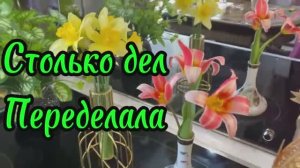 Сегодня УМОРИЛАСЬ!